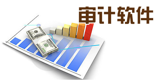 審計軟件專題