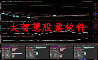 大智慧股票軟件