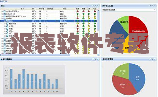 報表軟件專題