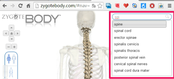 谷歌人體瀏覽器