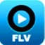 FLV播放器