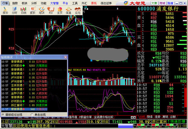 遼寧證券大智慧