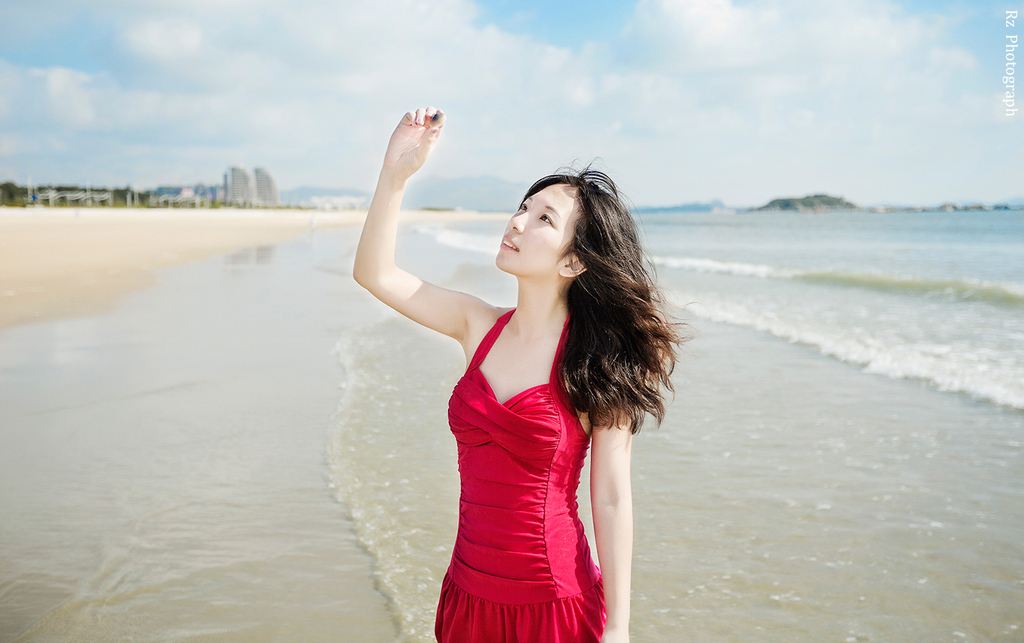 《海天君躍》通用并行機群處理系統